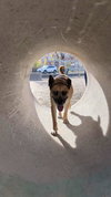 Mighty Mike - Photo 9
