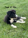 Twist of Fate