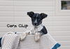 Corn Chip