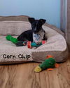 Corn Chip