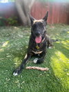 Indu - Photo 1