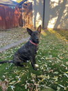 Indu - Photo 2