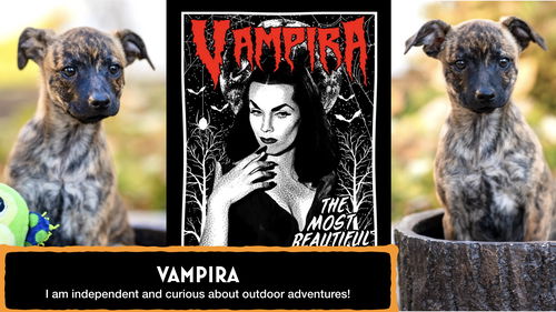 Vampira