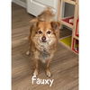 Fauxy