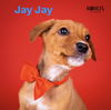 Chibi Jay Jay