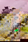 Aaro