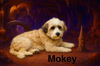 Mokey Fraggle