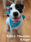 Rocky Mountain Ranger