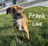 Frank Lee
