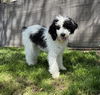 Wiloley