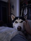 Betty Girl