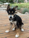Toby G
