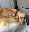 Lily Mae