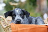 McDuff - Photo 3