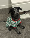 McDuff - Photo 7