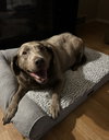 Abbi - Photo 4