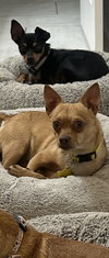 Ima Yoshi - Photo 9