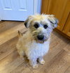 Posy - Photo 1