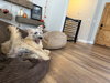 Posy - Photo 15