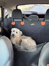 Posy - Photo 17