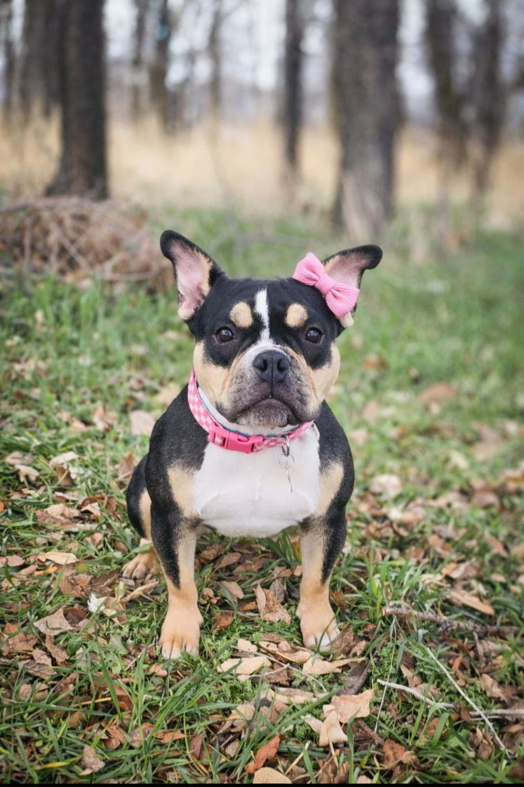 Purdy Girl Image