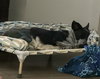 Tyche - Photo 2