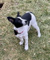 Spare - Photo 3
