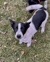 Spare - Photo 4
