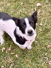 Spare - Photo 5