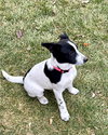 Spare - Photo 6