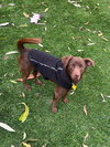 Rigbee - Photo 1