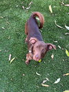 Rigbee - Photo 4