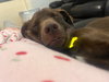 Rigbee - Photo 5