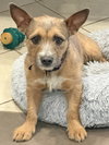 Edie - Photo 1