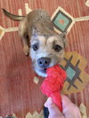 Edie - Photo 3