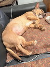 Edie - Photo 6