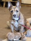 Edie - Photo 7
