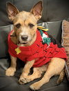 Edie - Photo 8