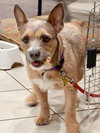 Edie - Photo 9