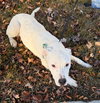 Fix-It-Felix - Photo 11