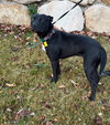 Taffyta - Photo 3