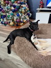 Taffyta - Photo 5