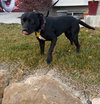 Taffyta - Photo 10