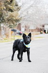 Llio - Photo 7