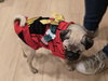 Butterbean - Photo 14