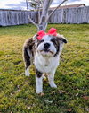 Evergreene - Photo 9