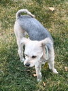 Lord Grayson - Photo 3