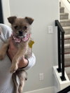 Little Lola - Photo 4