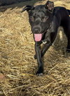 Ethan - Photo 7