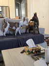 Rosy - Photo 5